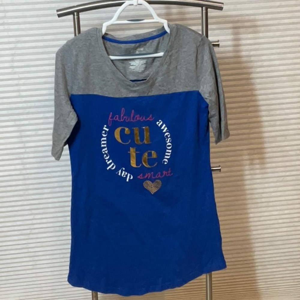 No Boundaries Sleep shirt Blue/Gray “Cute Fabulous awesome smart day dreamer”